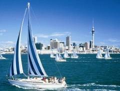  Làm visa đi New Zealand: Những khóa học cần xin visa đi du học New Zealand