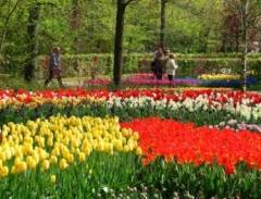  Làm visa đi Hà Lan: Du học Hà Lan sinh viên có được đi làm thêm không?