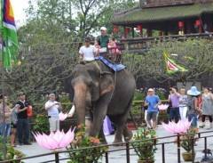 Nhiều khách thích thú cưỡi voi tham quan Đại Nội Huế dịp Festival