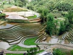 Quyến rũ ruộng bậc thang Tả Van – Lào Cai