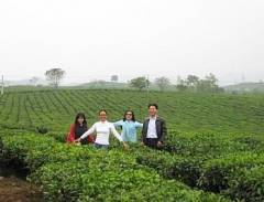 Đến với Mộc Châu, Sơn La