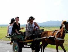 An Giang triển khai mô hình du lịch nông nghiệp