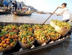 Tổ chức JICA (Nhật Bản) giúp Tiền Giang phát triển du lịch cộng đồng