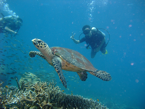 dao rong Tioman Malaysia
