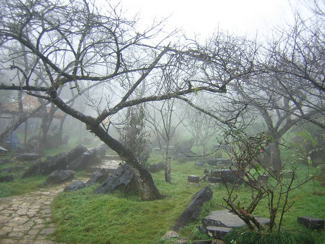 du lich sapa ha khau