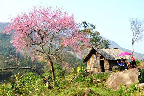 Du lịch Sapa