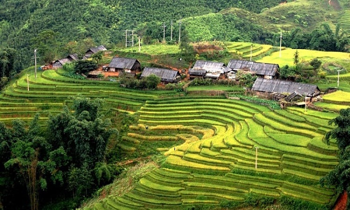 Tour du lịch miền Bắc 4 ngày tham quan bản Sín Chải