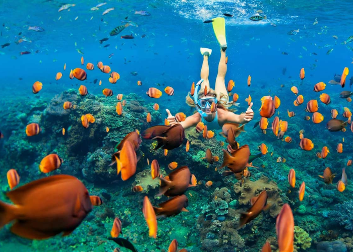 Lặn ngắm san hô là hoạt động được nhiều du khách ưa thích trong tour Phú Quốc