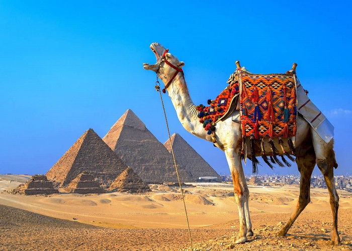 Tour Ai Cập 8N7Đ: Từ HCM - Cairo - Aswan - Kom Ombo - Edfu - Luxor, Bay Qatar Airways