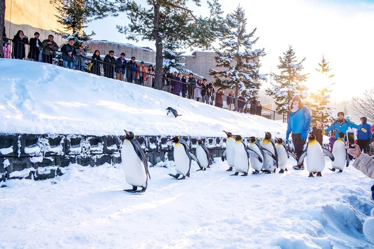 Du Lịch Nhật Bản: Hà Nội - Hokkaido - Lễ Hội Băng Tuyết Tại Chitose - Trượt Tuyết - Vườn Thú Asahikawa - Hồ Blue - Bảo Tàng Bia - Tokyo - Ngắm Hoa Anh Đào Sớm 6 Ngày Bay All Nippon Airways