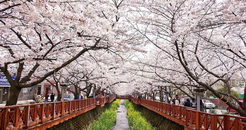 Tour Hàn Quốc 5N4Đ: Đà Nẵng - Seoul - Đảo Nami - Tháp Namsan - Công viên Everland - Công viên Youido, VMB + KS 3*