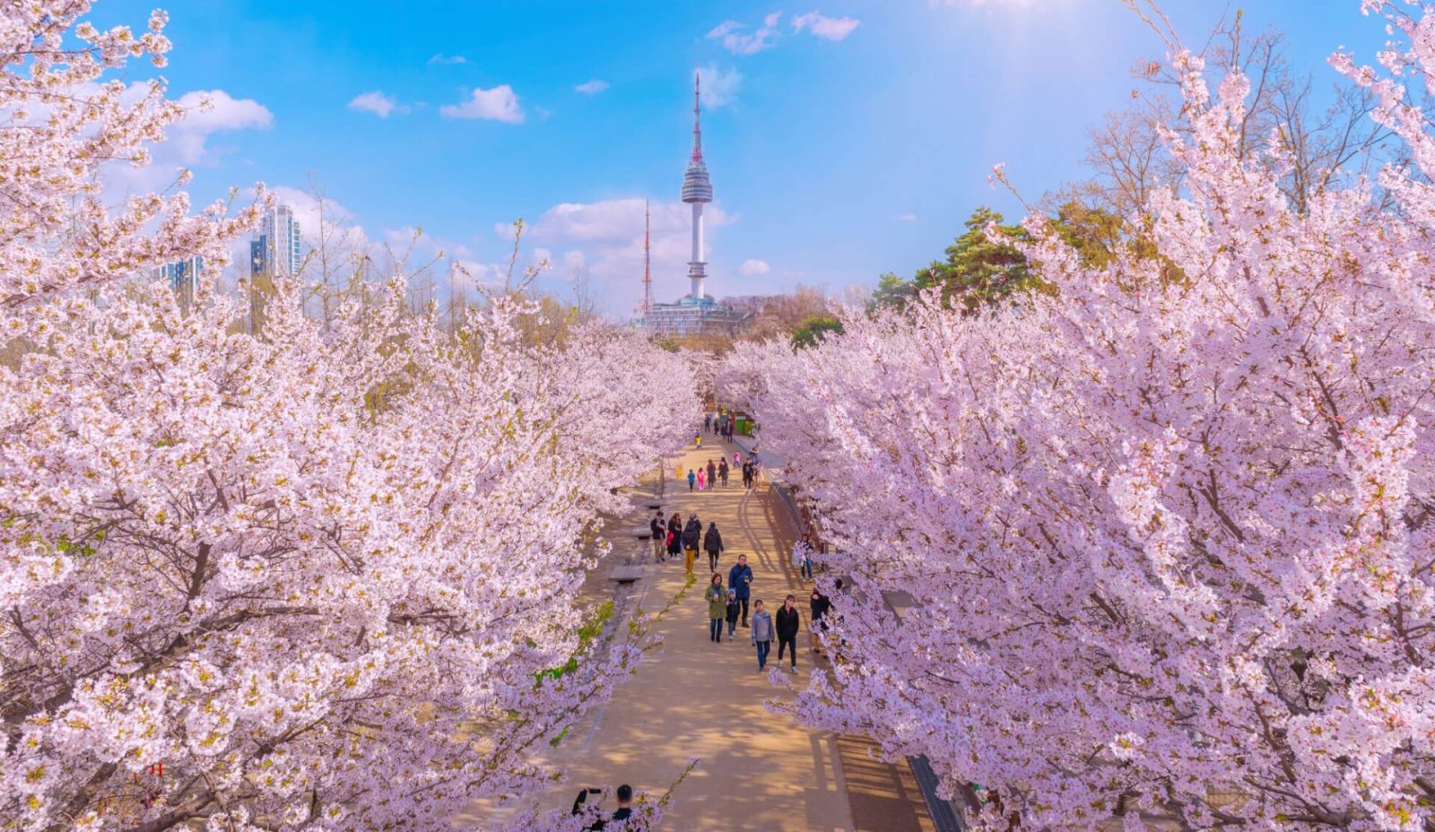 Du Lịch Hàn Quốc: HCM - Nami - Seoul - Lotte World - Painter Show - Bukchon Hanok 5 Ngày, Bay Vietjet Air + KS 4*, khám phá mùa đông