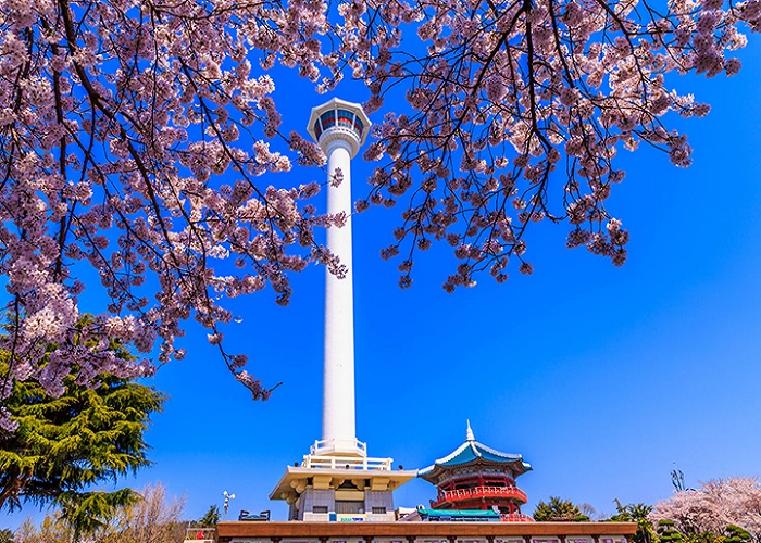 Tour Hàn Quốc 6N5Đ: Từ HCM - Busan - Daegu - Seoul - Trượt tuyết Elysian - Hero Show, Bay Vietnam Airlines, KS 5* Hàn Quốc