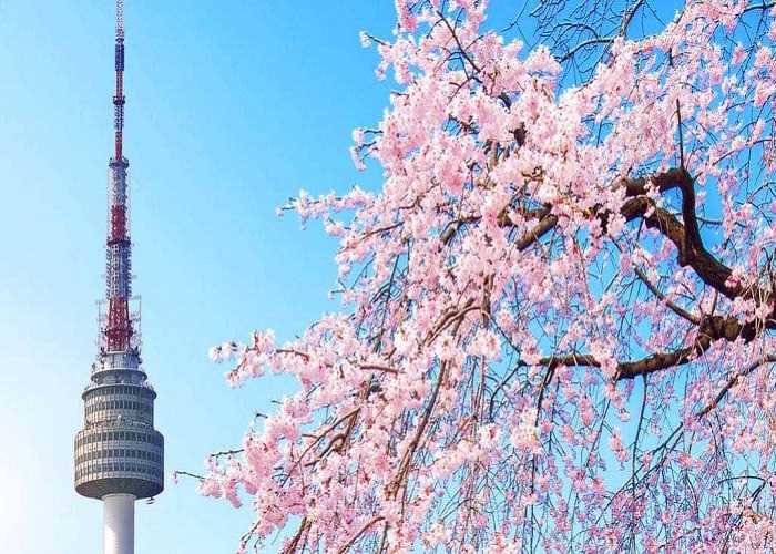 Tour Hàn Quốc 5N4Đ: Đà Nẵng - Seoul - Đảo Nami - Tháp Namsan - Công viên Everland - Công viên Youido, VMB + KS 3*
