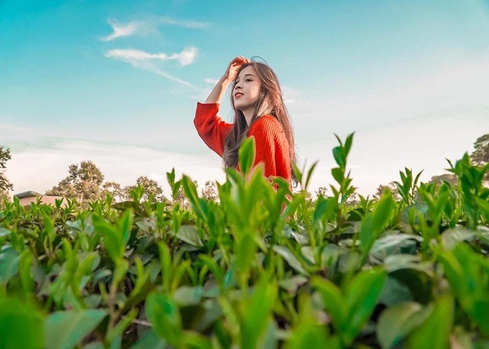 Tour Tây Nguyên 3N2Đ: Từ Đà Nẵng - Măng Đen - Kon Tum - Pleiku, Xe Ô tô