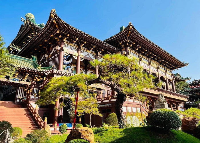 Tour Tây Nguyên 3N2Đ: Từ Đà Nẵng - Măng Đen - Kon Tum - Pleiku, Xe Ô tô
