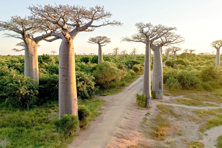 Du Lịch Đông Phi: Hà Nội - Seychelles - Madagascar - Mauritius 14 Ngày Bay Emirates 
