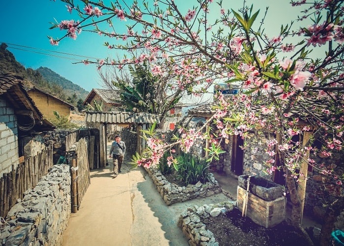 Tour Hà Giang 4N3Đ: Từ Đà Nẵng - SB Hà Nội - Mèo Vạc - Đồng Văn - Hà Giang, Bay Vietjet Air/ Vietnam Airlines + KS 2-3*