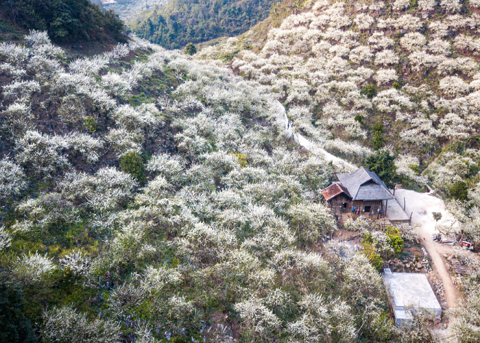 Du Lịch Miền Bắc: Đà Nẵng - Sơn La - Điện Biên - Mộc Châu - Cầu Kính Bạch Long 4 Ngày, VMB + KS 2,3*