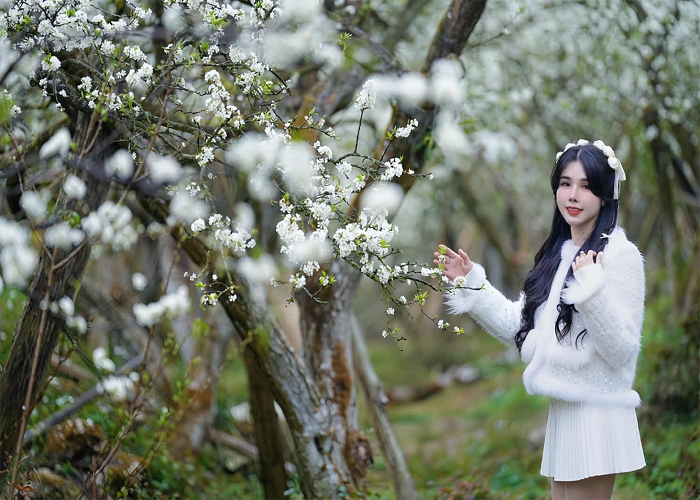 Du Lịch Miền Bắc: Đà Nẵng - Sơn La - Điện Biên - Mộc Châu - Cầu Kính Bạch Long 4 Ngày, VMB + KS 2,3*