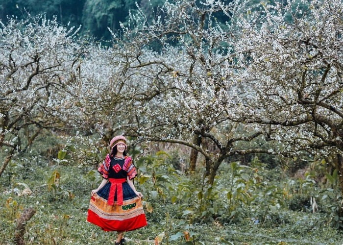 Du Lịch Miền Bắc: Đà Nẵng - Sơn La - Điện Biên - Mộc Châu - Cầu Kính Bạch Long 4 Ngày, VMB + KS 2,3*