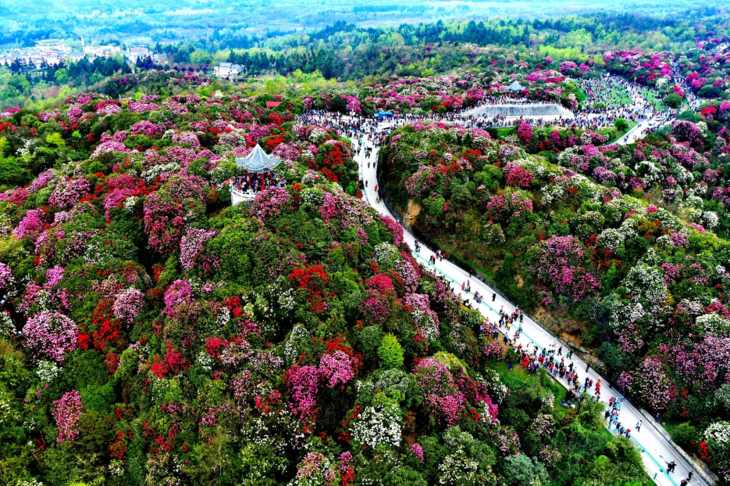 Du Lịch Trung Quốc: Hà Nội - Quý Dương - Thiên Hộ Miêu Trại - Bách Lý Đỗ Quyên 4N3Đ Bay Colorful Guizhou Airlines