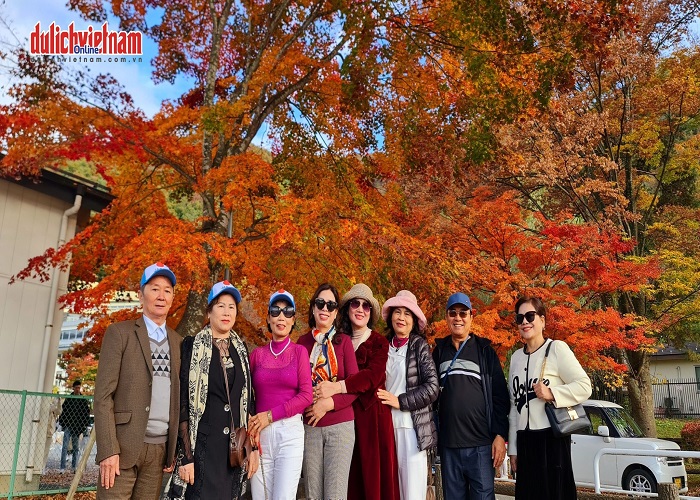 Tour Nhật Bản mùa hè 7N6Đ: Từ HCM - Kobe - Osaka - Kyoto - Yamanashi - Tokyo - Disneyland Option - Narita, Bay Vietnam Airlines + KS 4*