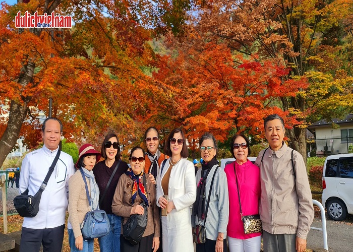 Tour Nhật Bản mùa hè 7N6Đ: Từ HCM - Kobe - Osaka - Kyoto - Yamanashi - Tokyo - Disneyland Option - Narita, Bay Vietnam Airlines + KS 4*