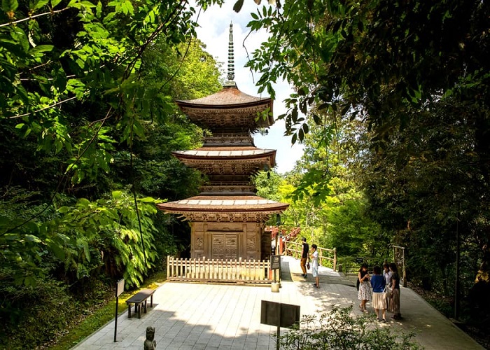 Tour Nhật Bản 6N5Đ ngắm hoa anh đào nở muộn: Từ HCM - Ishikawa - Komatsu - Nagano - Matsumoto - Shirakawago, Bay Vietjet Air + KS 3, 4*