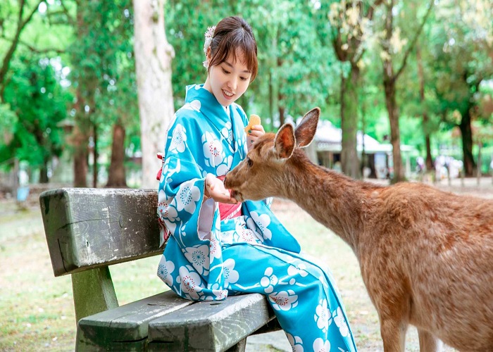 Tour Nhật Bản 6N5Đ: Từ Đà Nẵng - Cố đô Kyoto - Thành phố cảng Kobe - Nara - Osaka Thành phố không ngủ, Bay Vietnam Airlines