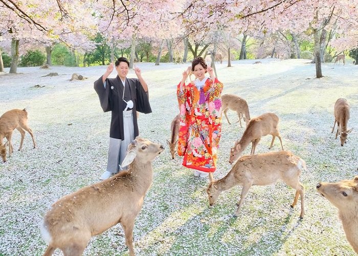 Tour Nhật Bản 6N5Đ: Từ Đà Nẵng - Cố đô Kyoto - Thành phố cảng Kobe - Nara - Osaka Thành phố không ngủ, Bay Vietnam Airlines