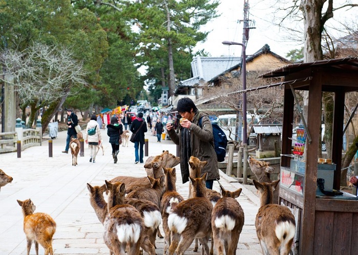 Tour Nhật Bản 6N5Đ: Từ Đà Nẵng - Cố đô Kyoto - Thành phố cảng Kobe - Nara - Osaka Thành phố không ngủ, Bay Vietnam Airlines