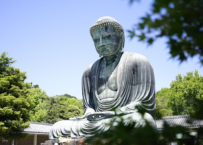 Tour Nhật Bản hoa anh đào 6N5Đ: Từ HCM - Tokyo - Yamanashi - Nagoya - Kyoto - Osaka, Bay Vietnam Airlines + KS 3-4*