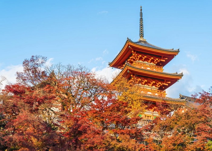Tour Nhật Bản 5N4Đ: Từ HCM - Tokyo - Kamogawa Sea World - Chiba - Narita, Bay Vietjet Air + KS 3-4*