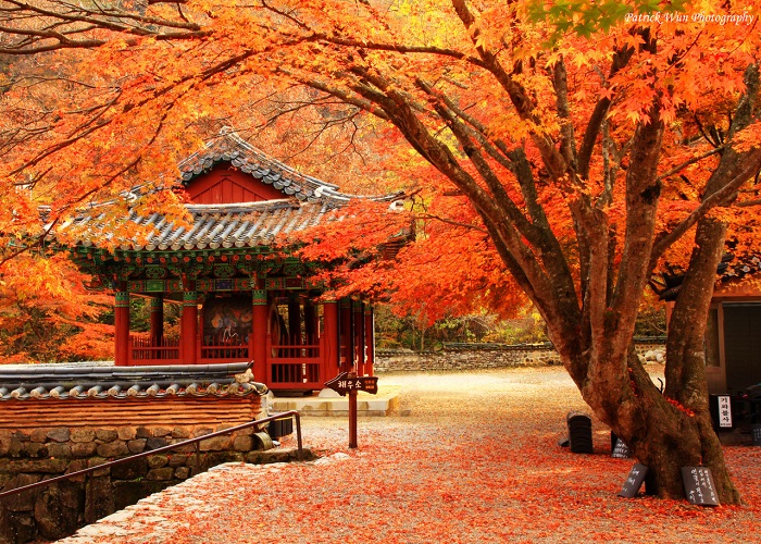 Đền Todaiji