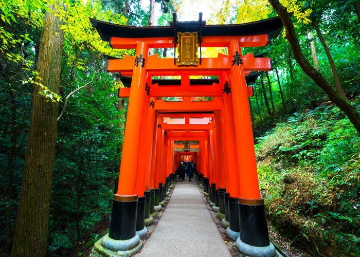 Tour Nhật Bản 6N5Đ: Từ HCM - Nagoya - Shirakawago - Takayama - Tateyama - Ishikawa - Kyoto - Osaka - Kobe, Bay Vietnam Airlines, khám phá hoa tử đằng
