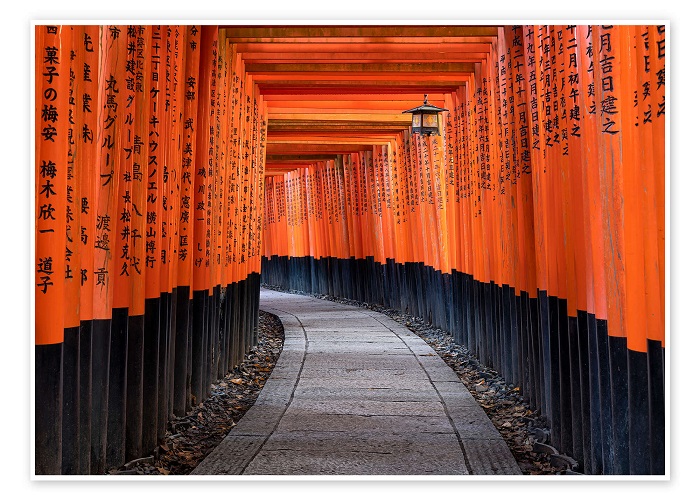 Tour Nhật Bản 6N5Đ: Từ HCM - Nagoya - Shirakawago - Takayama - Tateyama - Ishikawa - Kyoto - Osaka - Kobe, Bay Vietnam Airlines, khám phá hoa tử đằng