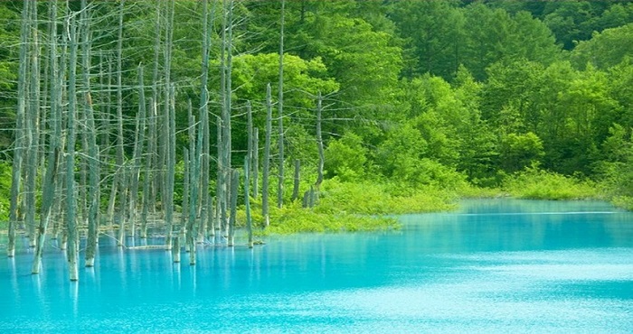 Tour Nhật Bản mùa thu 5N5Đ: Từ HCM - Asahikawa - Biei - Sappora - Noboribetsu, Bay Japan Airlines + KS 4*