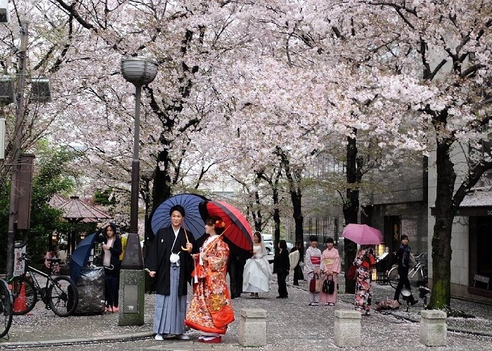 Tour Nhật Bản 6N5Đ: Từ HCM - Tokyo - Phú Sĩ - Nagoya - Kyoto - Osaka, Bay Vietjet Air + KS 3-4*, lễ hội hoa anh đào nở sớm