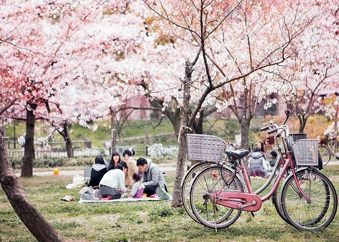 Tour Nhật Bản 6N5Đ: Từ HCM - Tokyo - Phú Sĩ - Nagoya - Kyoto - Osaka, Bay Vietjet Air + KS 3-4*, lễ hội hoa anh đào nở sớm