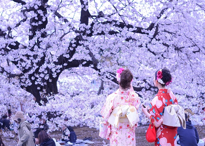Tour Nhật Bản 6N5Đ: Từ HCM - Tokyo - Phú Sĩ - Nagoya - Kyoto - Osaka, Bay Vietjet Air + KS 3-4*, lễ hội hoa anh đào nở sớm