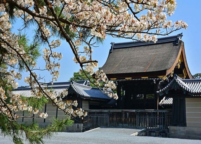 Tour Nhật Bản 6N5Đ: Từ HCM - Shirakawago - Takayama - Yamanashi - Tokyo, Bay Vietnam Airlines + KS 4*, rực rỡ sắc hoa anh đào