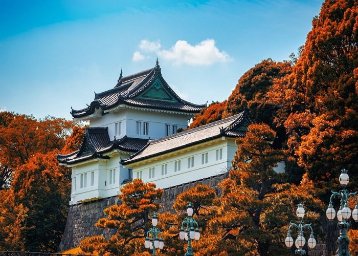 Tour Nhật Bản 6N5Đ: Từ HCM - Shirakawago - Takayama - Yamanashi - Tokyo, Bay Vietnam Airlines + KS 4*, rực rỡ sắc hoa anh đào