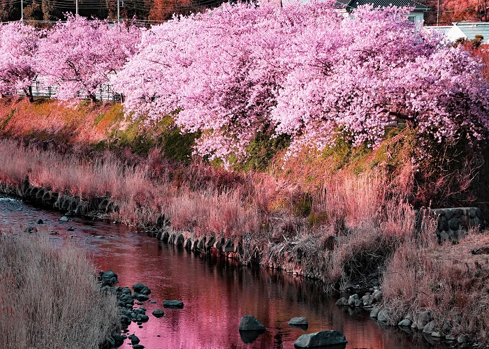 Tour Nhật Bản 5N4Đ: Từ HCM - Yamanashi - Fuji - Hakone - Tokyo, Bay Vietnam Airlines + KS 3,4*, khám phá mùa đông tuyết rơi