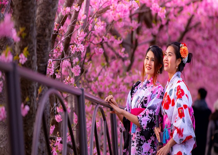 Tour Nhật Bản 5N4Đ: Từ HCM - Yamanashi - Fuji - Hakone - Tokyo, Bay Vietnam Airlines + KS 3,4*, khám phá mùa đông tuyết rơi