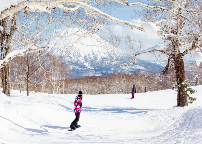 Tour Nhật Bản 6N5Đ: Từ HCM - Shirakawago - Yamanashi - Saitama - Tokyo, Mùng 1 Tết Âm lịch, Bay Vietnam Airlines + KS 4*, rộn ràng đón năm mới