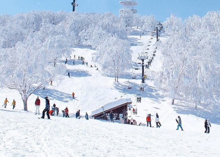 Tour Nhật Bản 6N5Đ: Từ HCM - Shirakawago - Yamanashi - Saitama - Tokyo, Mùng 1 Tết Âm lịch, Bay Vietnam Airlines + KS 4*, rộn ràng đón năm mới