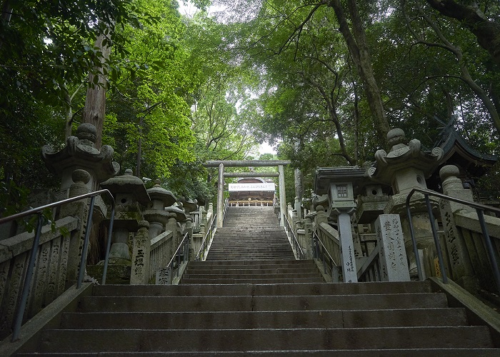 Tour Nhật Bản 5N5Đ: Từ Đà Nẵng - Okayama - Himeij - Tokushima - Takamatsu 