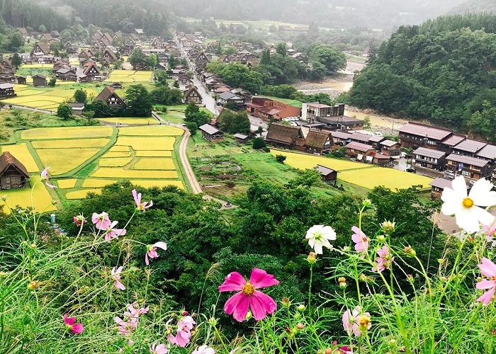 Tour Nhật Bản 6N5Đ: Từ HCM - Nagoya - Gifu - Shirakawago - Free Day - Expo Osaka, Bay Vietnam Airlines + KS 3-4*