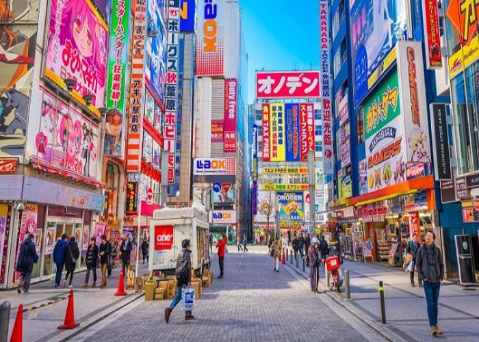 Tour Nhật Bản 7N6Đ: Từ HCM - Kobe - Osaka - Kyoto - Nagoya - Yamanashi - Tokyo - Narita, Bay Vietnam Airlines, khám phá mùa hoa tử đằng, hoa chi anh